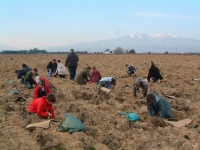 Classe au travail &agrave; Saleilles