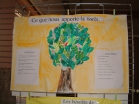 Dessin d'arbre
