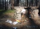 Déchets dans la nature