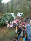 Visite scierie du Boulou