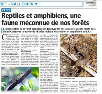 reptiles et amphibiens, une faune méconnue de nos forêts