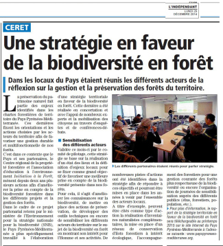 une stratégie en faveur de la biodiversité en forêt