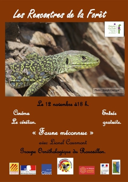 rencontres bourgoin